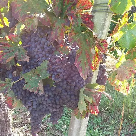Domaine Du Papillon 3* Lesparre-Médoc