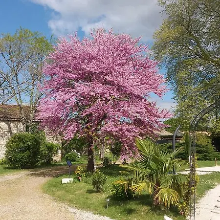 Domaine Du Papillon 3* Lesparre-Medoc