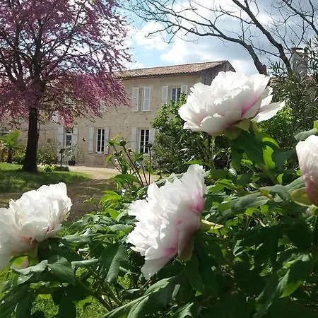 Domaine Du Papillon Bed & Breakfast Lesparre-Medoc